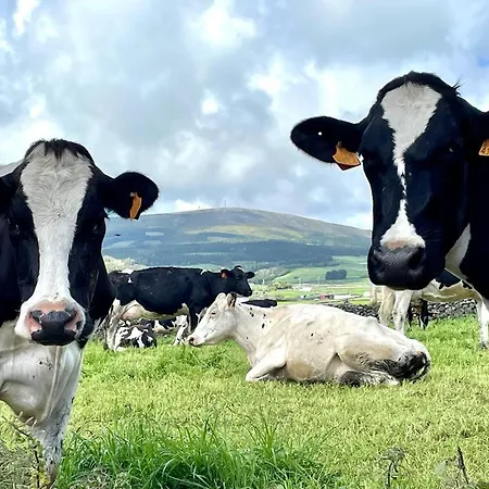 Dom wakacyjny Casa As Oito Angra do Heroísmo