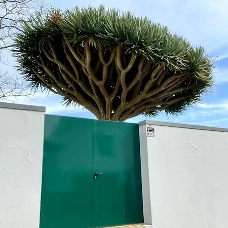 Casa As Oito Dom wakacyjny