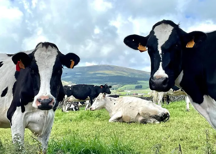 Holiday home Casa As Oito Angra do Heroismo