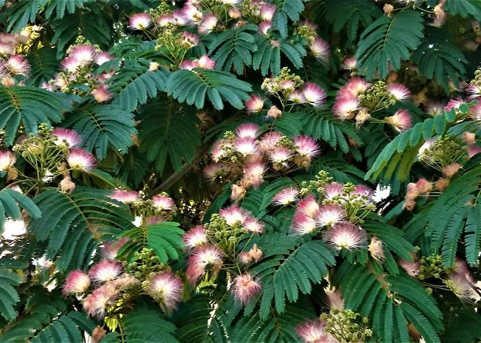 Holiday home Casa As Oito Angra do Heroismo