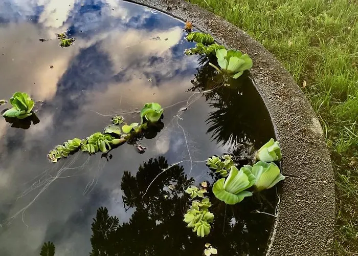 Holiday home Casa As Oito Angra do Heroismo