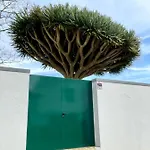 Casa As Oito 度假居