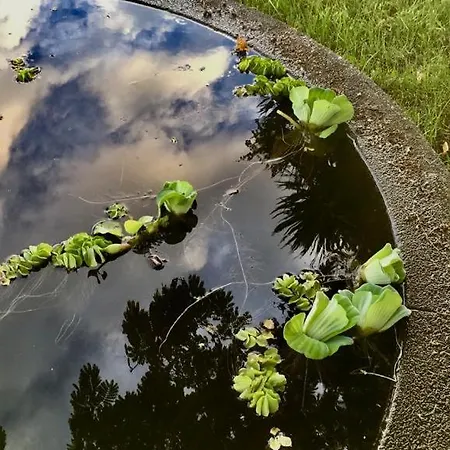 펜션 Casa As Oito 앙그라두에루이스무