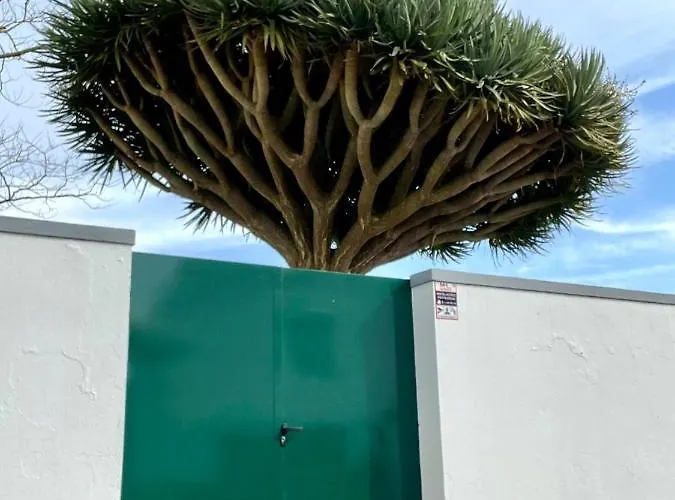 Casa As Oito בית נופש