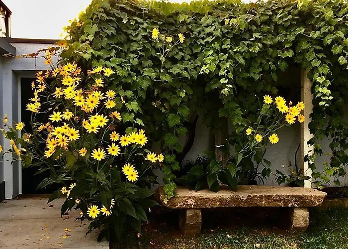 בית נופש Casa As Oito